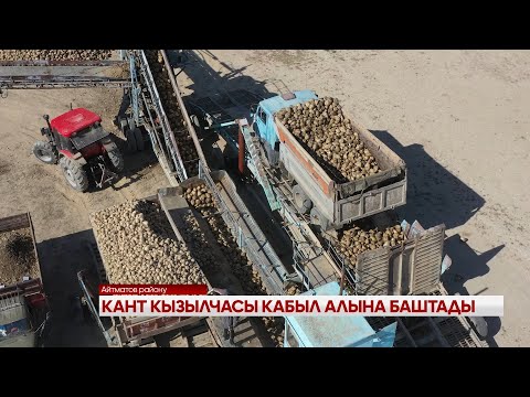 Видео: КАНТ КЫЗЫЛЧАСЫ КАБЫЛ АЛЫНА БАШТАДЫ