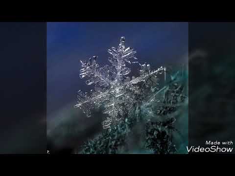 Видео: Эльза и Джек! (1 серия)