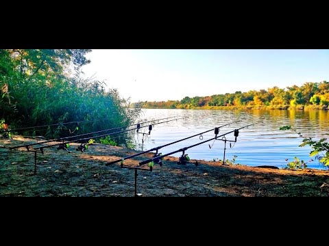Видео: РЫБАЛКА С НОЧЕВКОЙ НА ДНЕПРЕ В КОНЦЕ СЕНТЯБРЯ. КАРПФИШИНГ VS ФЛЭТ.