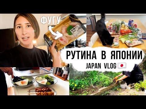 Видео: Готовлю рыбу ФУГУ и уборка сада. Реалистичная рутина нашей жизни в Японии