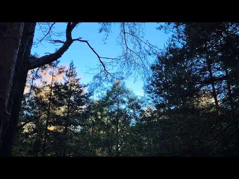 Видео: Новости из мира денег. Немного о финансовой грамотности