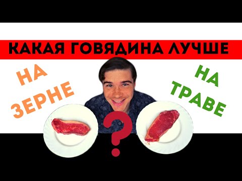 Видео: Карнивор диета что лучше: МРАМОРНАЯ ГОВЯДИНА или ГОВЯДИНА ТРАВЯНОГО ОТКОРМА. Польза и вред мяса