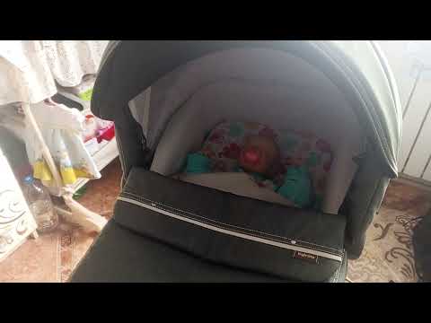 Видео: 20 января 2025 г.