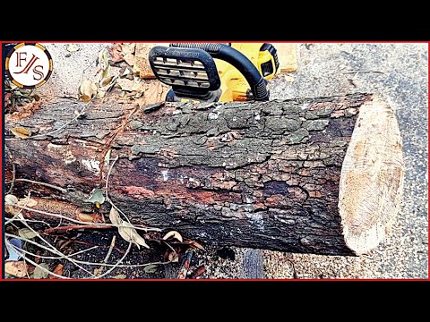 Видео: Я сделал его из дерева, которое плотники обычно не используют. Что получилось в результате??