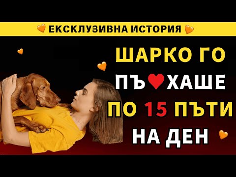 Видео: Мъжът не успя но Барсик намери решението на проблема
