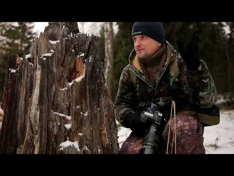 Видео: по лесу с 5Dmarklll / нашёл избу )