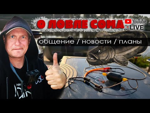 Видео: 🔴 Стрим: Рыбалка на сома /  Воспоминания, Тренды, Новости, Общение