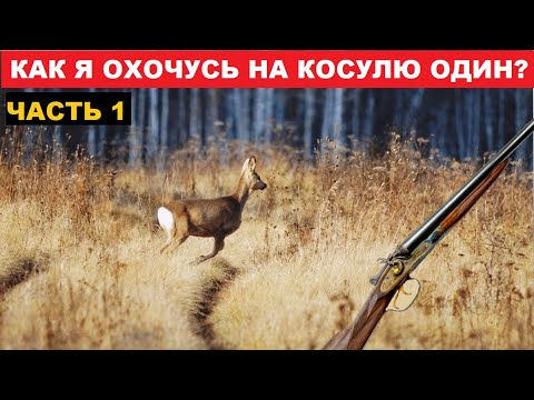 Видео: 💥КАК Я ОХОЧУСЬ НА КОСУЛЮ ОДИН?! Ч.1