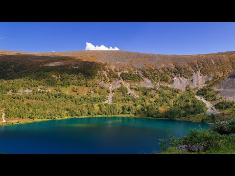 Видео: Ивановские озёра- медвежий рай