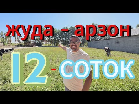Видео: ЖУДА ХАМ АРЗОН 12-СОТИКЛИ УЙ-ЖОЙ УЧАСТКА ТЕЗДА СОТИЛАДИ.