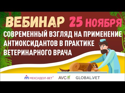 Видео: Вебинар "Современный взгляд на применение антиоксидантов в практике ветеринарного врача"