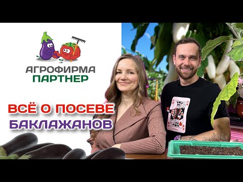 Видео: Всё о посеве баклажанов | #огород #рассада #семена
