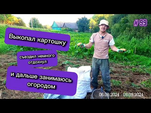 Видео: Выкопал картошку, съездил немного отдохнул и снова взялся за огород.