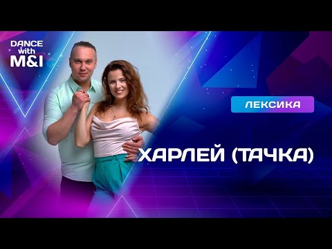 Видео: Харлей в Хастле и Дискофоксе.