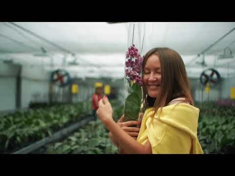 Видео: "По районам!" Кабанск