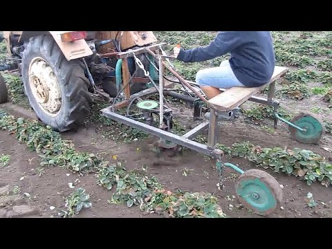 Видео: МАШИНЫ И МЕХАНИЗМЫ, ИЗОБРЕТЕНИЯ И САМОДЕЛКИ, УДИВИТЕЛЬНАЯ ТЕХНИКА И ТЕХНОЛОГИИ ✦ 171 ✦ Lucky Tech