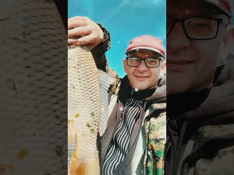 Видео: ДРУЗЕЙ СЕБЕ НАХОДИМ САМИ РЕМИКС