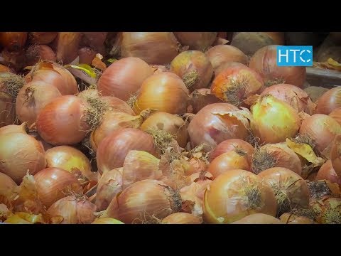 Видео: Пияздын дарылык касиети / Таң Шоола / НТС