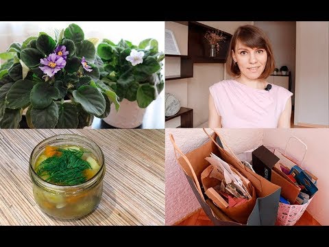 Видео: 5 идей для экологичного и чистого дома