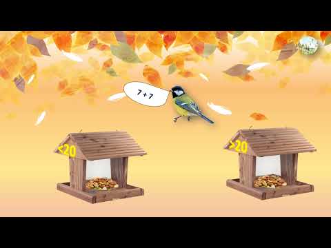 Видео: ДЕНЬ СИНИЧКИ  математика