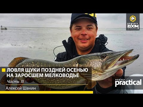 Видео: Ловля щуки воблерами поздней осенью на заросшем мелководье. А. Шанин. Часть 3. Anglers Practical