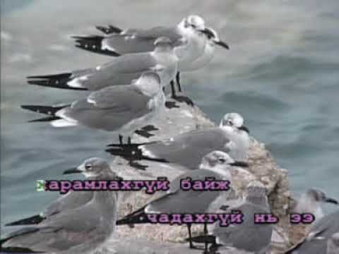 Видео: Гэргийн дуу - Энхзул | Монгол дууны караоке
