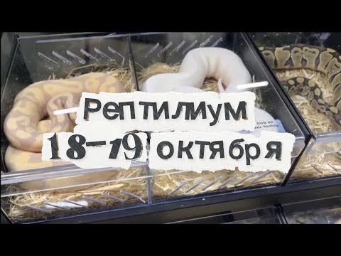Видео: Обзор Рептилиум 18-19 октября