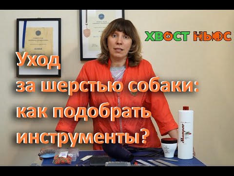 Видео: Уход за шерстью собаки: как подобрать инструменты?