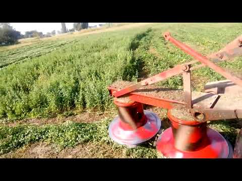Видео: Косим люцерну  на сіно
