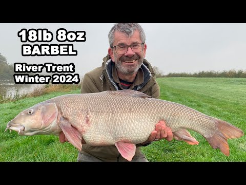 Видео: Монстр-усач из Трента