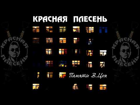 Видео: КРАСНАЯ ПЛЕСЕНЬ - ПАМЯТИ В.ЦОЯ | ПОЛНЫЙ АЛЬБОМ | 2021