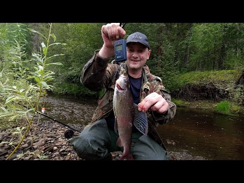 Видео: Рыбалка на Хариуса/ Сплав/ Таежная река/ Природа Сибири