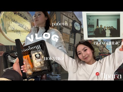 Видео: Мои дни в Праге 🇨🇿 | Работа + выходные