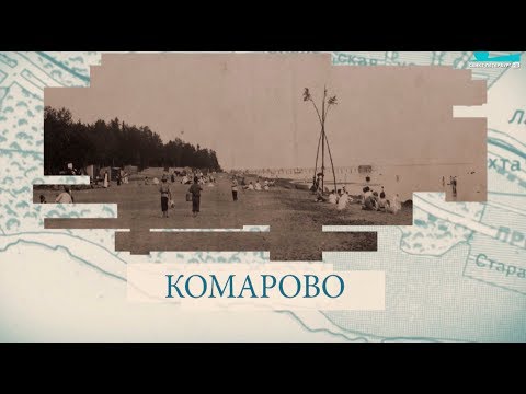 Видео: Комарово / «Малые родины большого Петербурга»