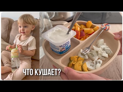 Видео: ЧТО ЕСТ МОЙ 1,5 ГОДОВАЛЫЙ РЕБЕНОК В ТЕЧЕНИИ ДНЯ🥑🍌🍎 ДЕТСКОЕ МЕНЮ🍼
