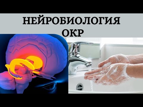 Видео: Эпилепсия и компульсивное поведение ч. 2: нейробиология навязчивостей, эпилептоид