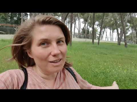 Видео: ГОРА ЗЛОГО СОВЕЩАНИЯ. СЕЛО КРОВИ. ИУДА ИСКАРИОТСКИЙ. 15.04.20