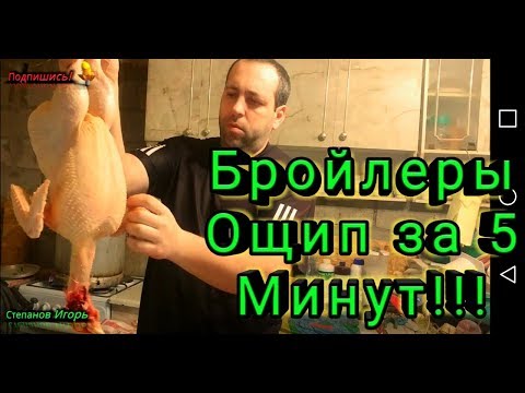 Видео: Бройлеры Ощип за 5 Минут Как Правильно Ошпарить Бройлера