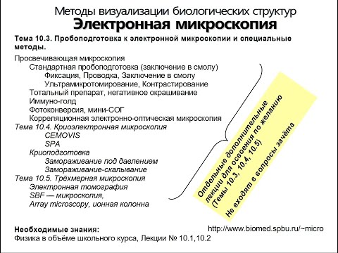 Видео: Электронная микроскопия. Лекция 3.