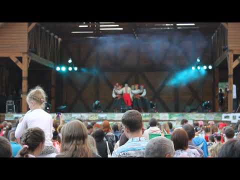 Видео: Виступ народного ансамблю "Молодички" (Полтавська обл.), фрагмент