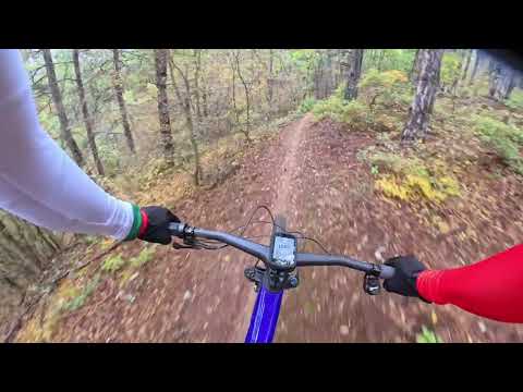 Видео: MV #003 - Dabrava с карачи.ком 19.10.2025