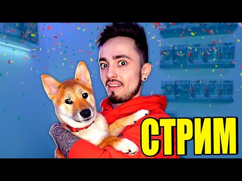 Видео: ВЫЖИВАНИЕ С ЮТУБЕРАМИ НА СТРИМЕ!