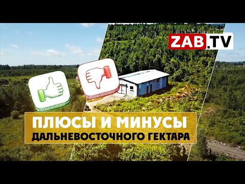 Видео: Плюсы и минусы программы «Дальневосточный гектар» на территории Забайкальского края
