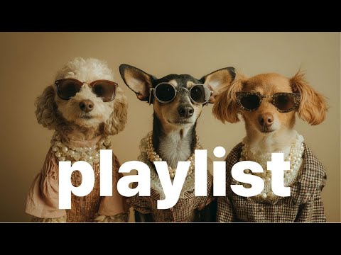 Видео: [Плейлист] Влюбляешься с первой ноты 💗 | Поднимает настроение | Атмосферно | Начало дня🎵