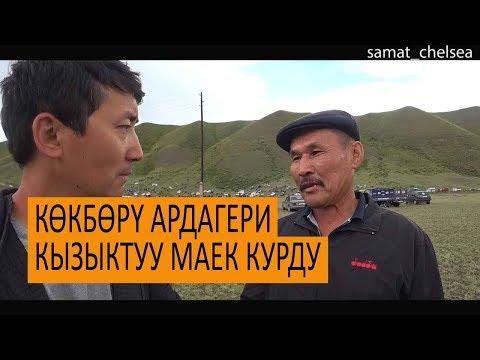 Видео: Кенжебек Романкулов: көкбөрү өтө одоно болуп кетти/Күтүлбөгөн суроолор