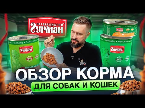 Видео: Влажный корм для кошек и собак "Четвероногий гурман" | разбор состава, плюсы и минусы