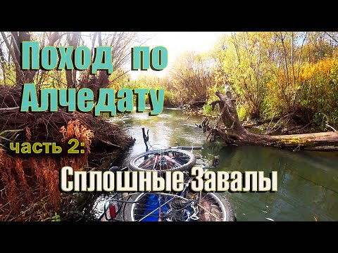 Видео: Осенний веловодный поход по реке Алчедат, 2 часть. Одиночный сплав по таежной реке. Bike Rafting.