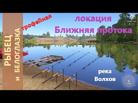 Видео: Русская рыбалка 4 - река Волхов - Рыбец и трофейная белоглазка