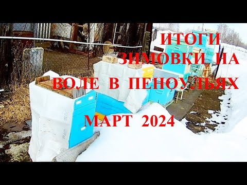 Видео: Итоги зимовки на воле в пеноульях с верхней вентиляцией. Карника F1. Южный Урал