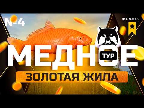 Видео: #4 Русская рыбалка 4 — ТУР на МЕДНОЕ озеро | ФАРМ серебра | Покупка СБОРОК | Прокачка